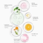 Japan Sakura Sunscreen