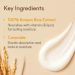 The Face Shop Rice & Ceramide Moisturizing Cream(50ml) - Image 2